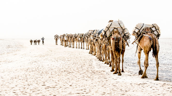 Foto: Stefan Jallard