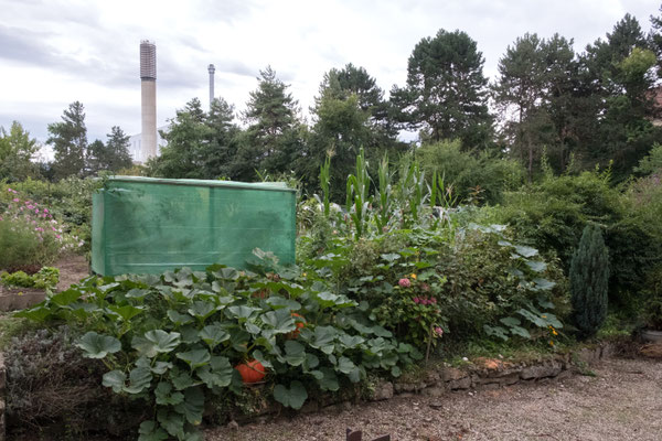 Posten_05_Colette Flück