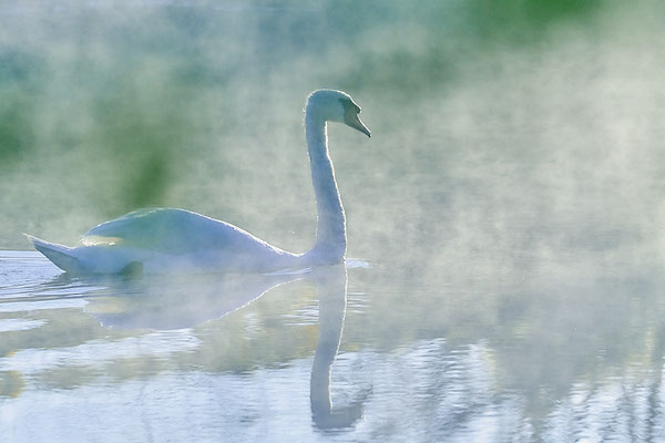 Blumer Emil - Morgenausflug