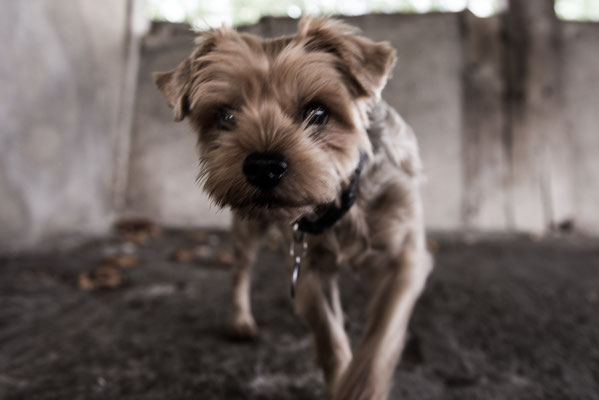 Posten_09_Markus Buess