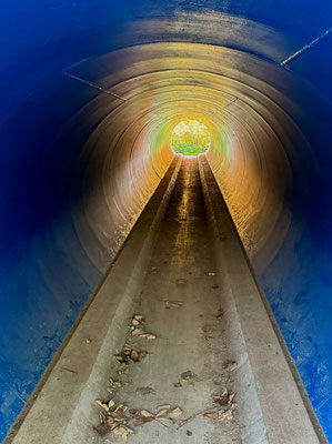 Zürcher Hans - Herbst Tunnel