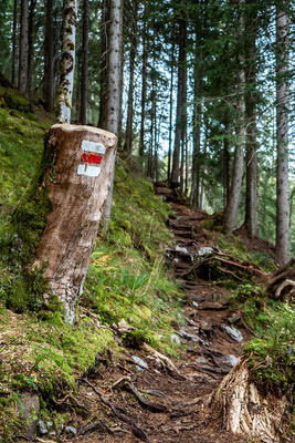 Balmer Pascal - Über Stock und Stein