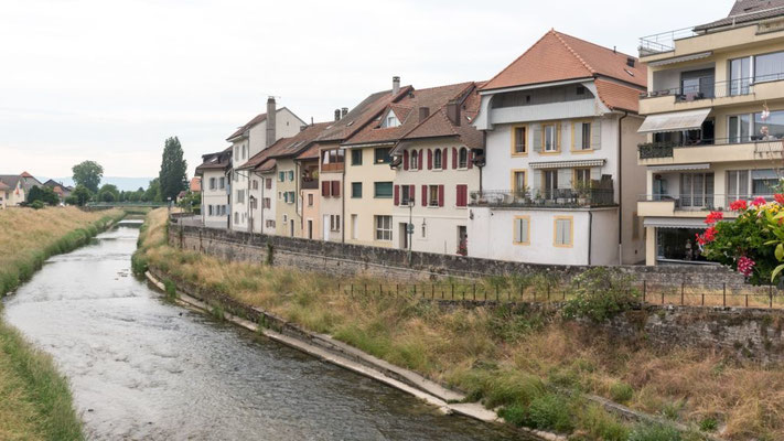 6-1   Berchtold Jürg