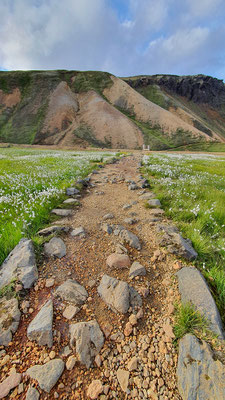 Krieg Barbara - Durch die Blumen