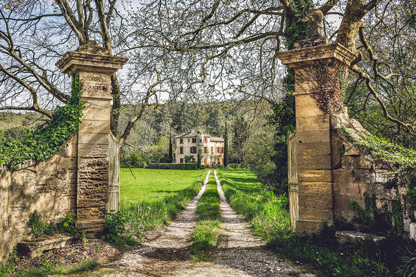 16 Piller Willi - Dornröschen