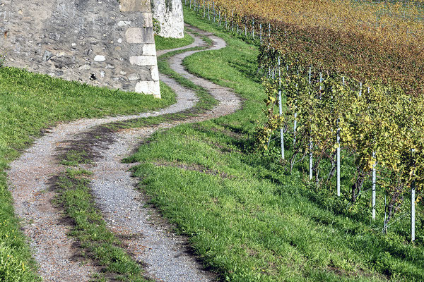 18 Piller Willi - Zick Zack