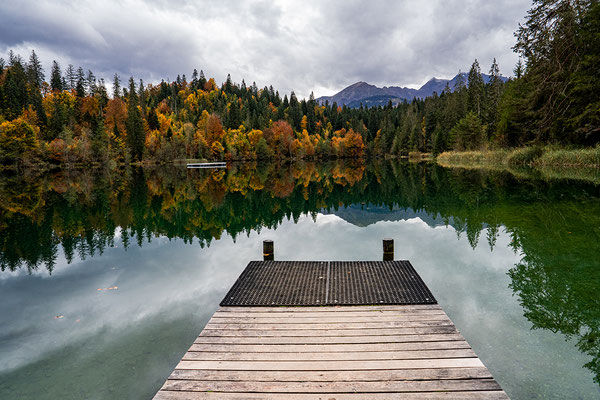 Krieg Barbara - Steg