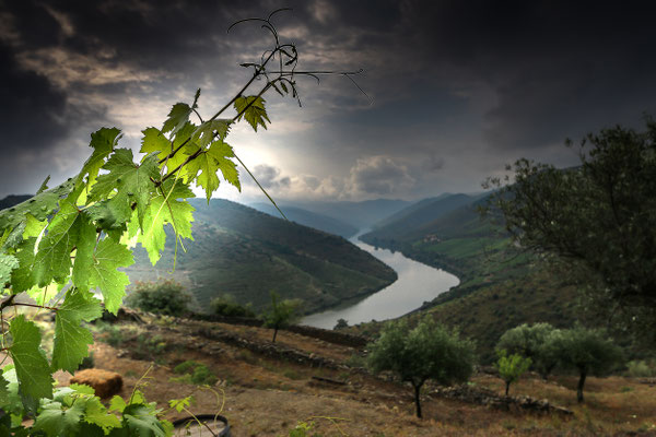 03 Abrunhosa Jaime - Douro 
