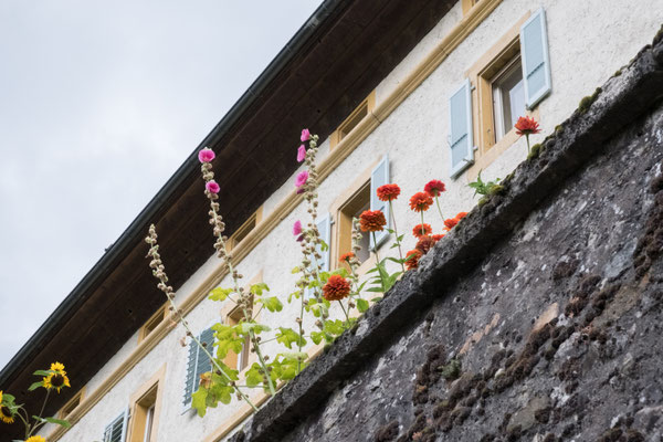 Posten_03_Colette Flück