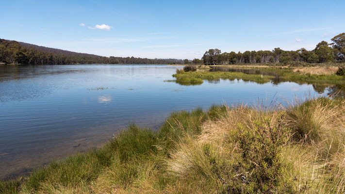 Tasmanien / Berchtold Jürg