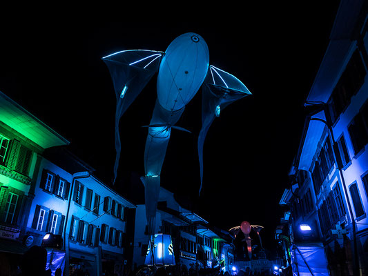 Krieg Daniel - Leuchtdrache