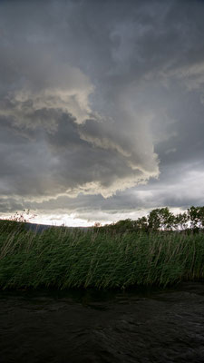 04  Kloiber Arno - Pfeil