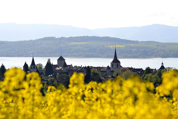 06 Kuhn Fabian - Murten im Blumenkleid