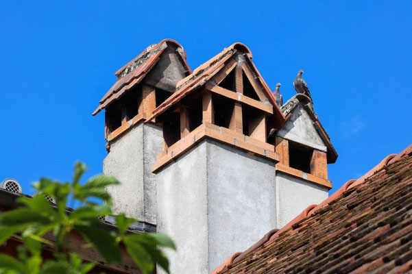 Foto: Jaime Abrunhosa