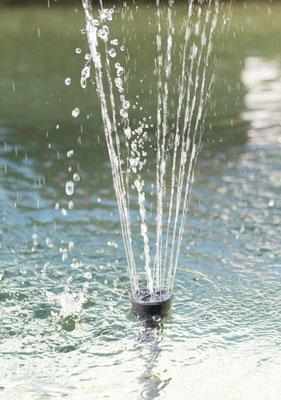 Berchtold Jürg - Sprinkler