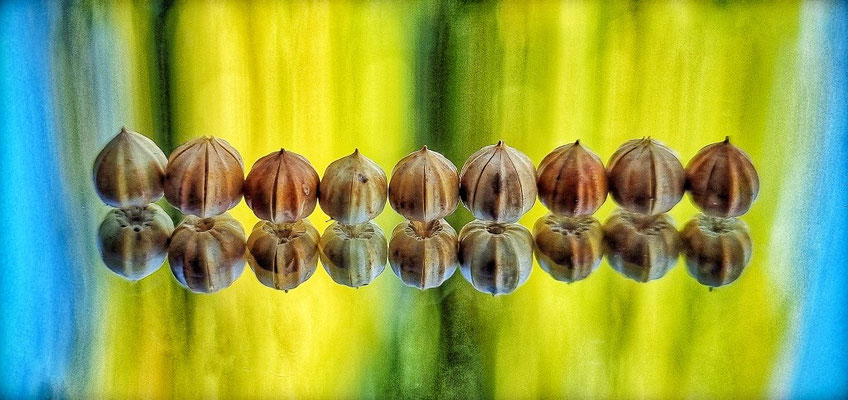 Etter Käh - doppelte Saat