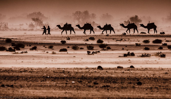 Foto: Stefan Jallard...Wüstentrip Chegaga