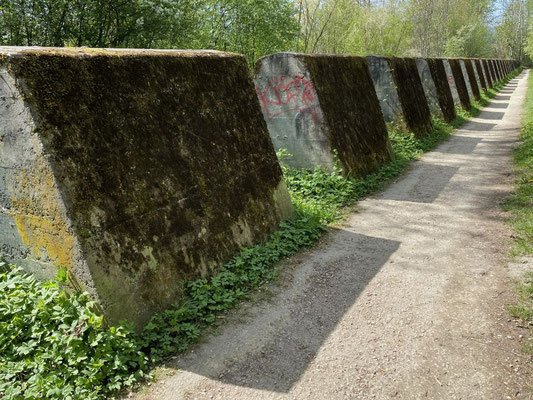 Zürcher Hans - Grenzweg