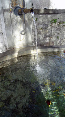 Dahinden Fredy Brunnen2