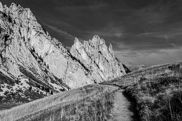 03 Balmer Pascal - Gastlosen Weg