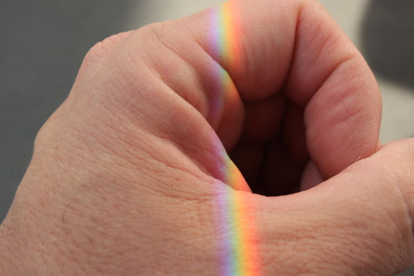 Neuhaus Bruno - catch_the_light