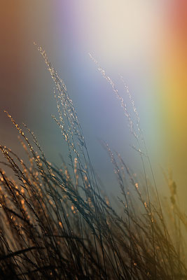 17 Abrunhosa Jaime - Lumiere de couleur 