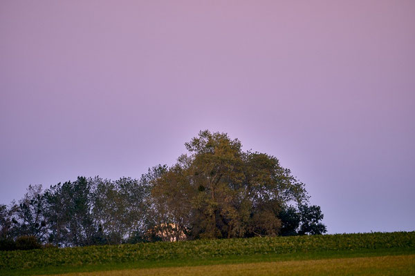 Supermond1 Mont Vully - Blumer Emil - FCM-HP