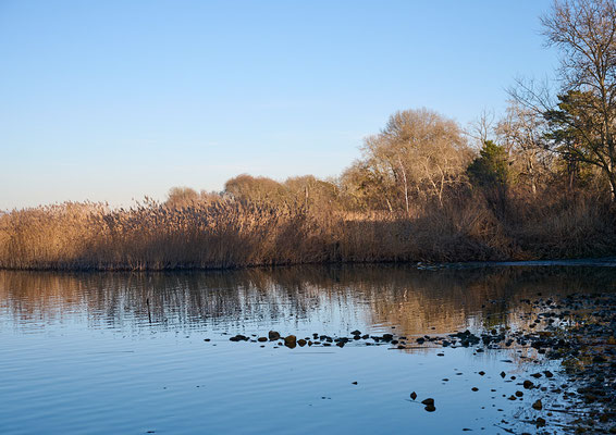 Berchtold Jürg - Ufer