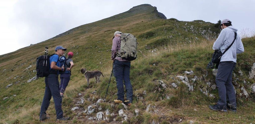 Foto: Dragica Radovanovic