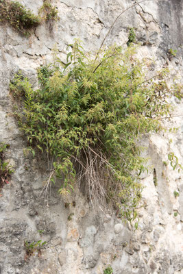 Posten_05_Jürg Berchtold