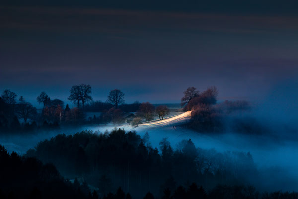 06 Abrunhosa Jaime - Entre la brume 