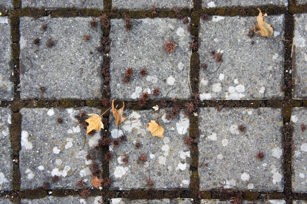 Posten_04_Sarah Descombes