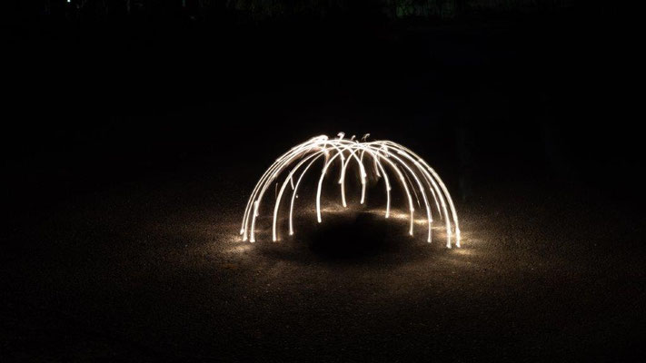 Foto: Katharina Etter_Krake