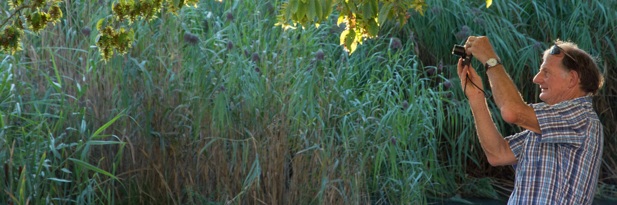 Posten_06_ Markus Buess