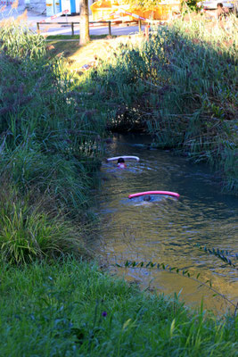 Posten_05_Andrea_Rüegg