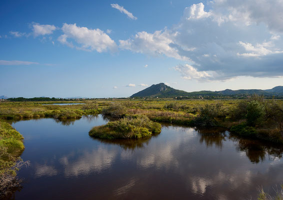 Berchtold Jürg - Steppe
