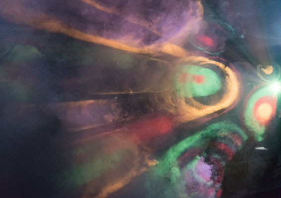 Berchtold Juerg - Pfau