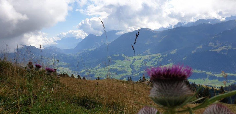 Foto: Dragica Radovanovic