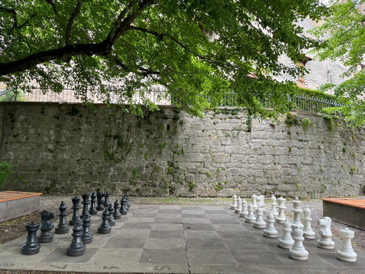 5-1 Radic-Radovanovic Dragica