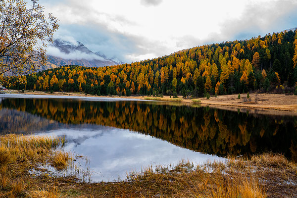 Krieg Barbara - Bundeshaus