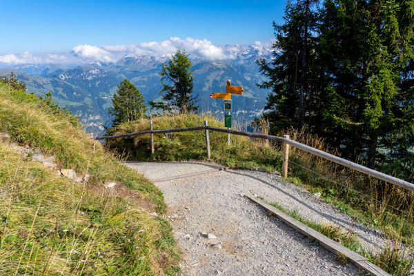 Kloiber Arno - Vier Wege