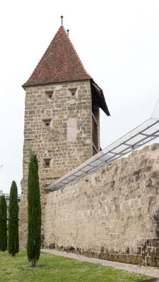 8-1   Berchtold Jürg