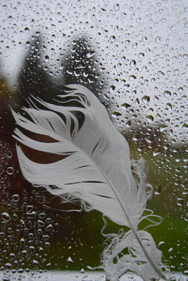 14  Dragica Radic - Regentropfen