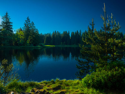 Krieg Daniel / Etang de la Gruère JU