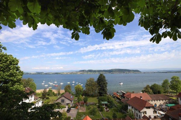 Foto: Jaime Abrunhosa