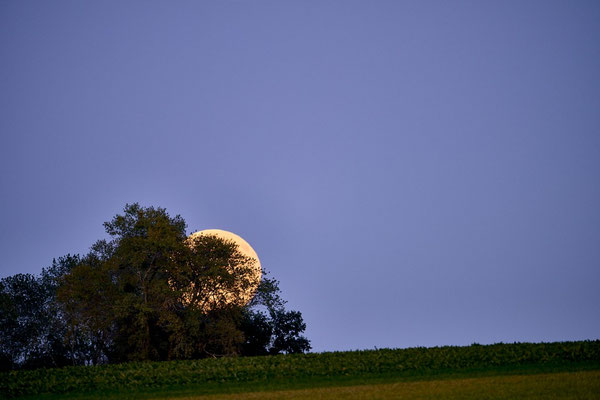 Supermond2 Mont Vully - Blumer Emil - FCM-HP