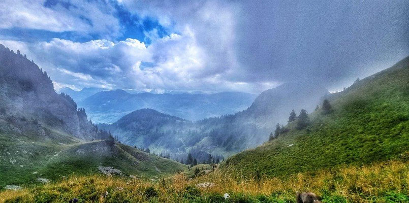 Foto: Katharina Etter