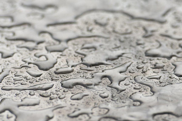 08  Buess Markus - Erdteile