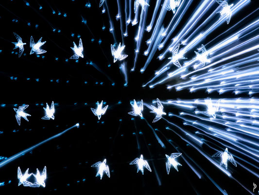 Lichtfestival '26 - Törliplatz - Balmer Pascal.jpg