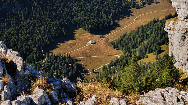 19 Krieg Barbara - Durchs Tal